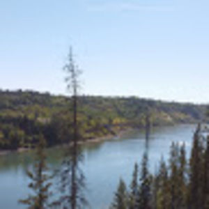 Meet your Posher, Tricia